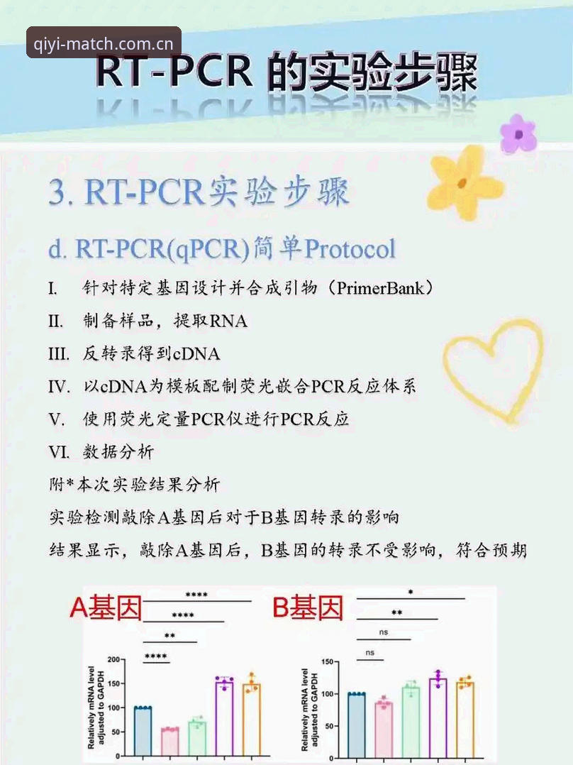 奇异果体育赛事直播使用指南 奇异果体育赛事直播使用指南:全面评测与实操解析