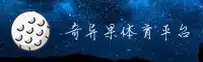 功能与服务详解